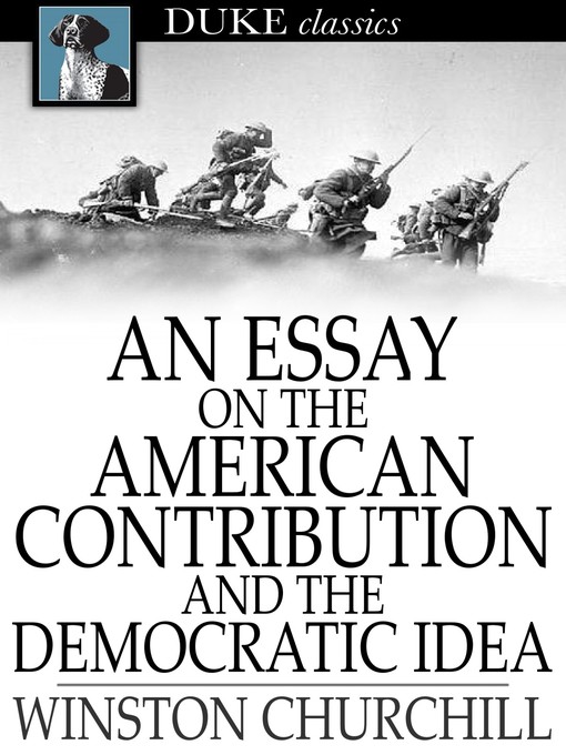 Cover of An Essay on the American Contribution and the Democratic Idea